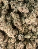 white widow imbustato