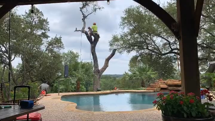 https://i.vimeocdn.com/video/2060335610-84b0803d77cdccbde6f0b2e2907548121acb4f0c5556057dcdca7f75b967d78a-d