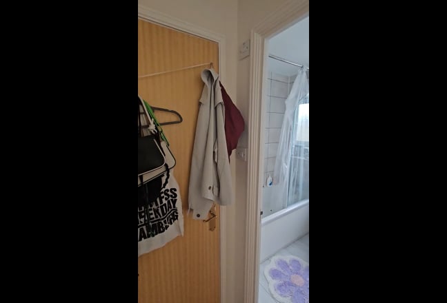 Ensuite available near Canary Wharf from 27 Oct Main Photo