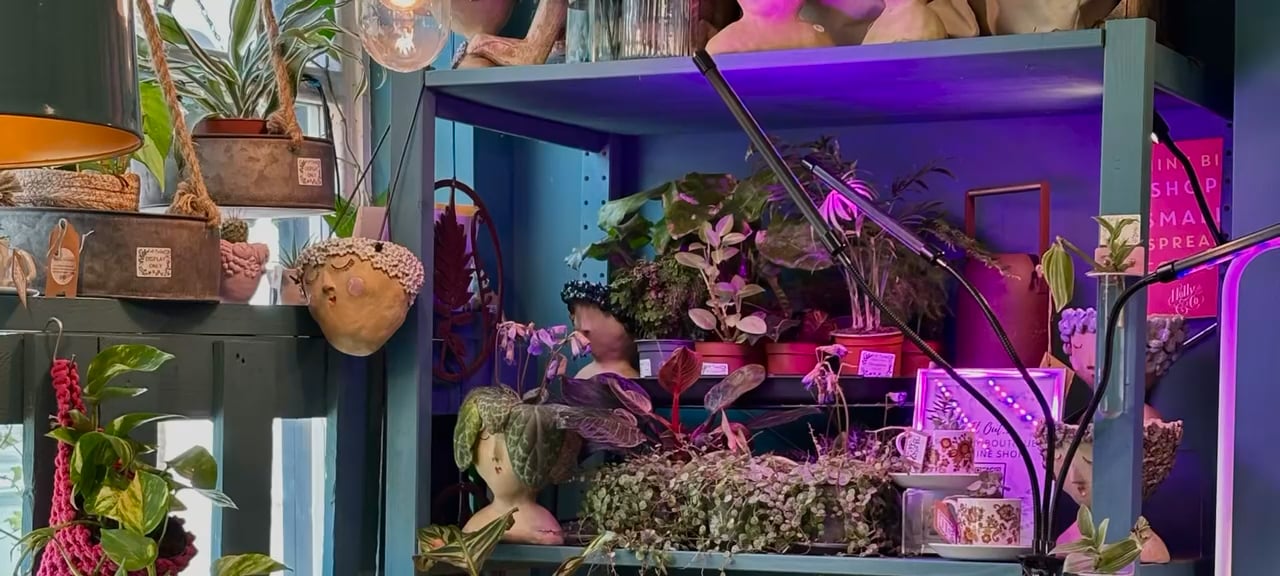 https://i.vimeocdn.com/video/2060410844-8c5b0b750bfbce60f048aa9605b79579a21197747f566748eeb1db56258bb607-d