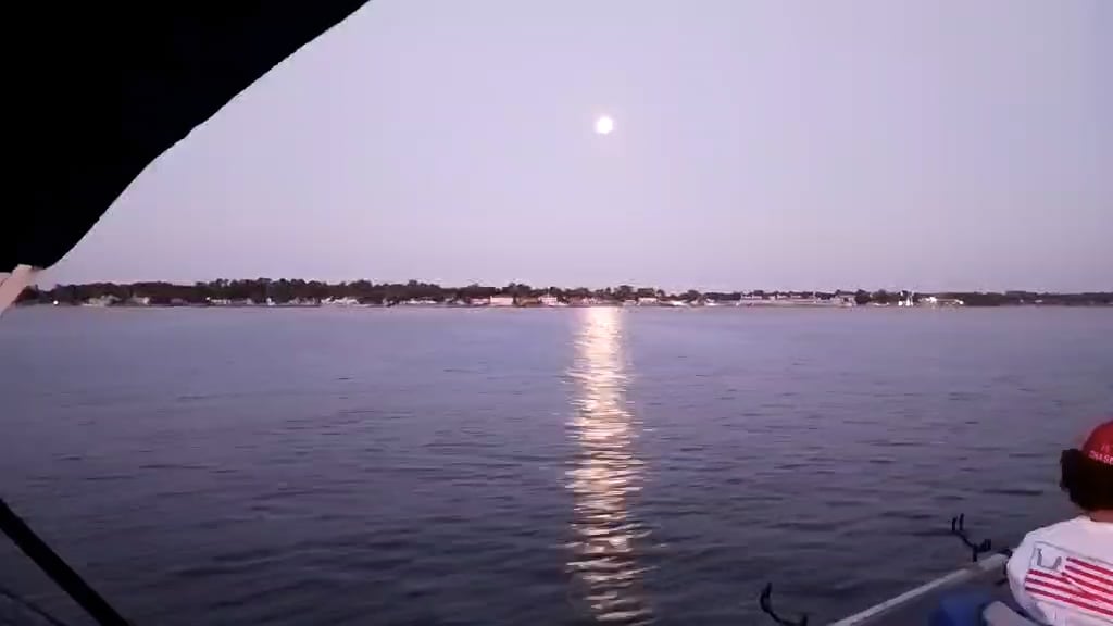 https://i.vimeocdn.com/video/2060444803-50ec69e72201187df9d01a784977c653e5c3f7cbfea1bb2a5be8525a0cdda21f-d
