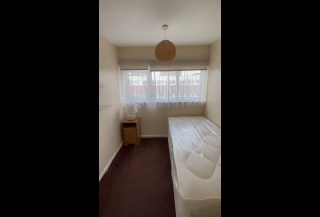 Video 1: