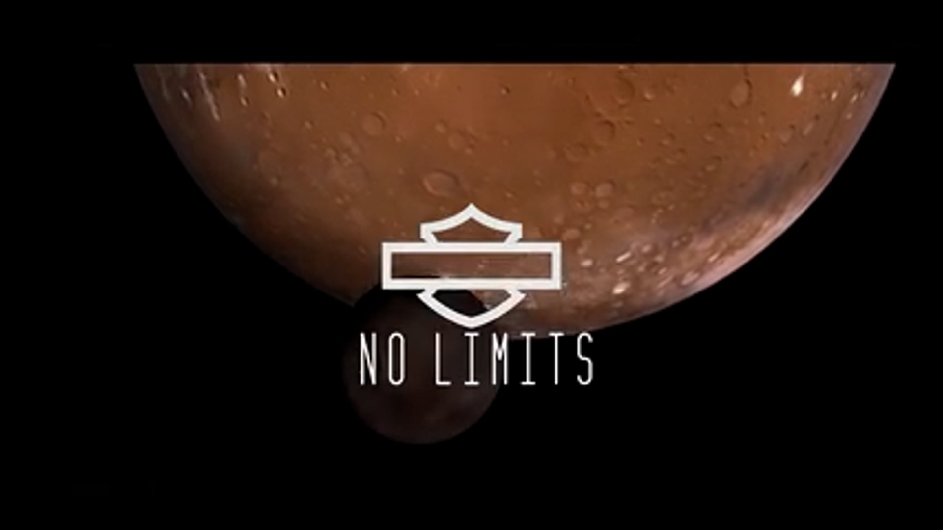 Harley Davidson - No Limits