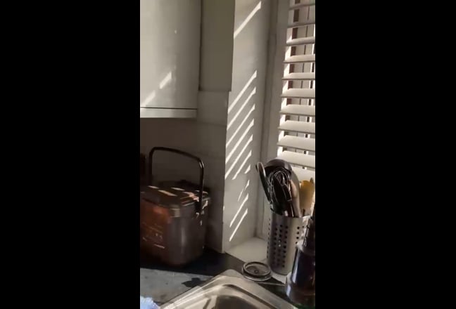Video 1: