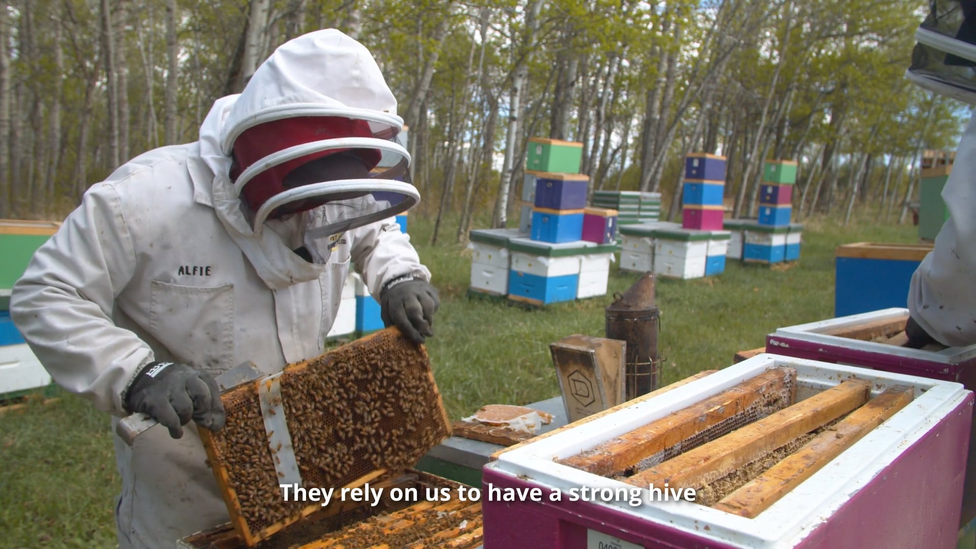 Nectar at Busy Bee Farms Documentary
