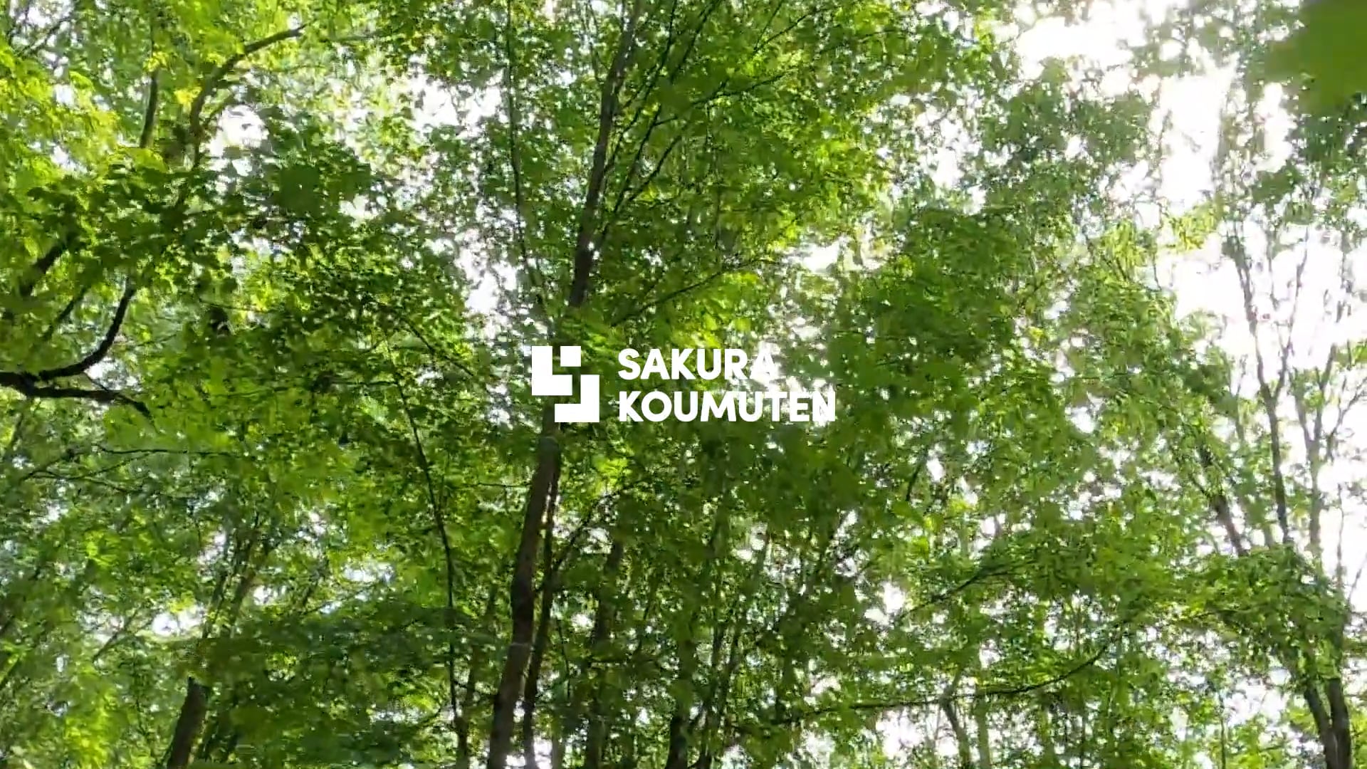 回遊動線で家事がはかどる。清涼な空気に満ちたモダンな木の家