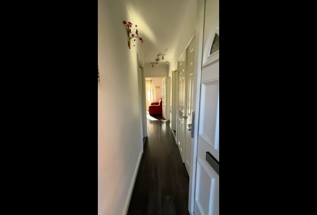 Video 1: