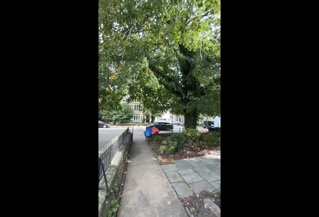 Video 1: