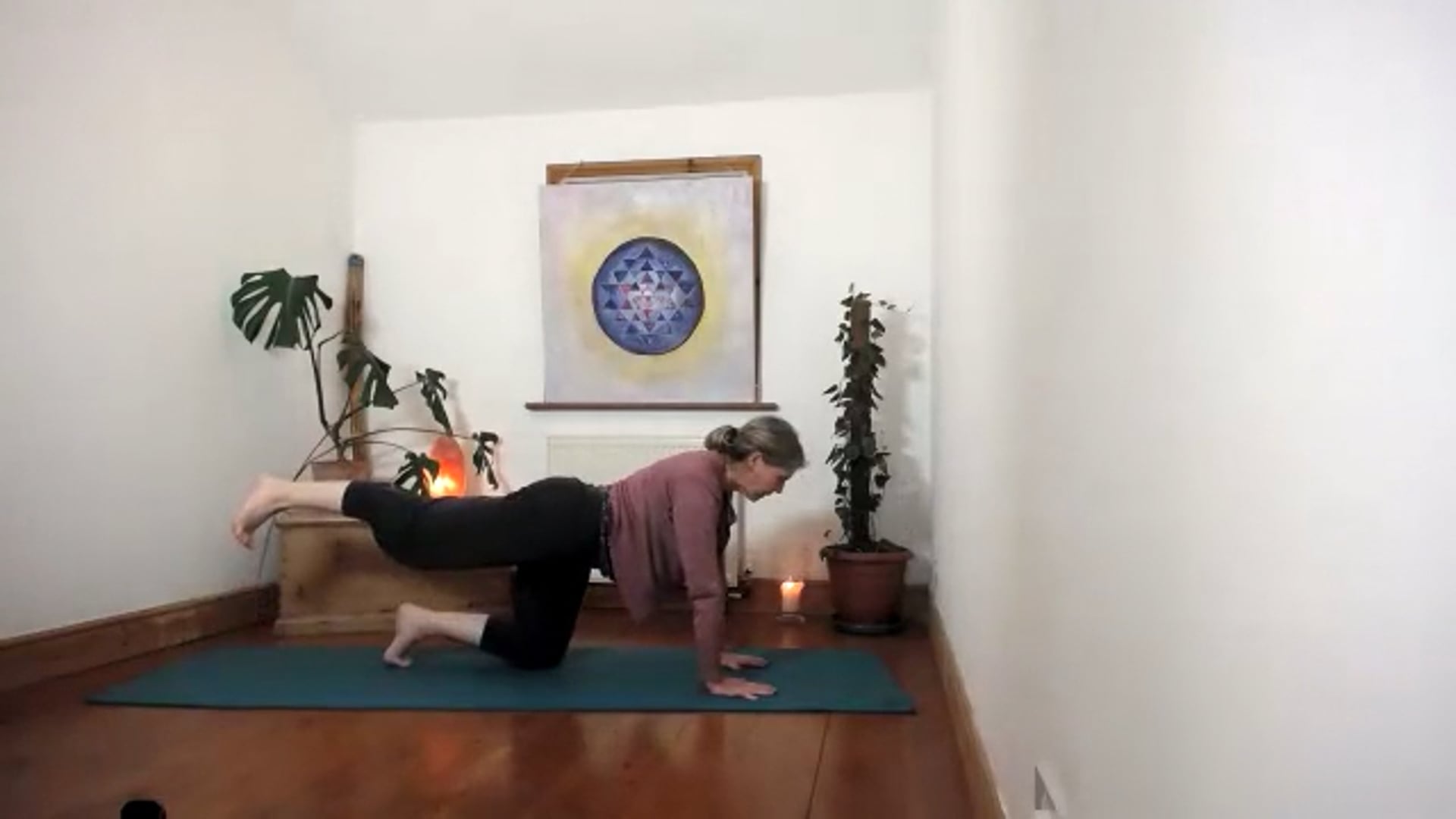 Multilevel wk3 Strong and Supple Spine