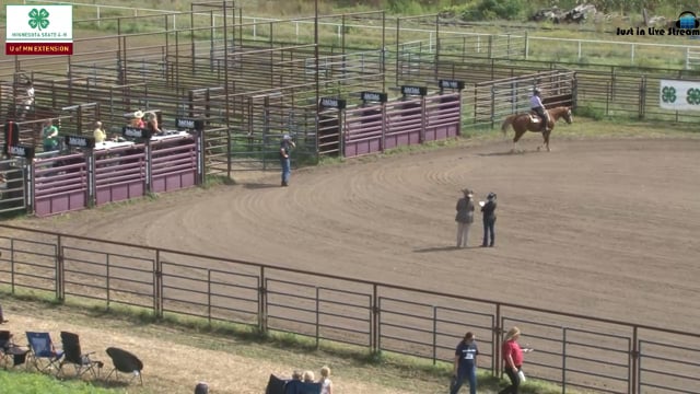 Western Pleasure Gr 6