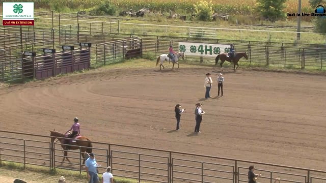Western Pleasure Gr 7