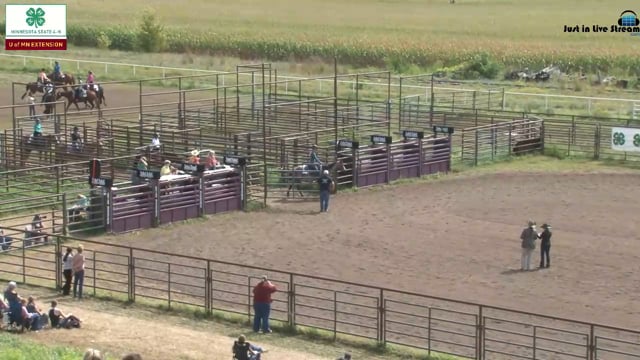Western Pleasure Gr 9