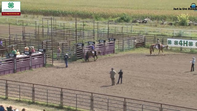 Western Pleasure Gr 11