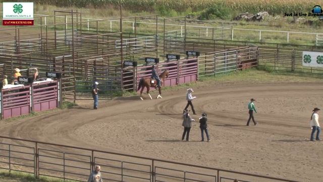 Western Pleasure Grand Champ