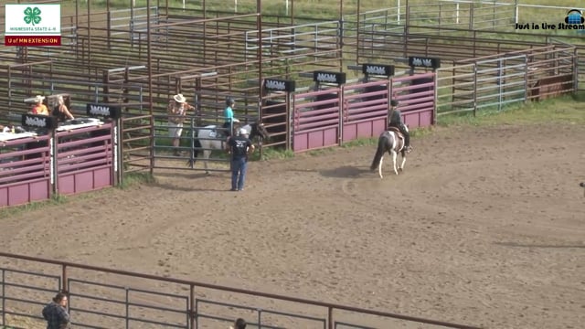 Western Pleasure Pony Pleasure