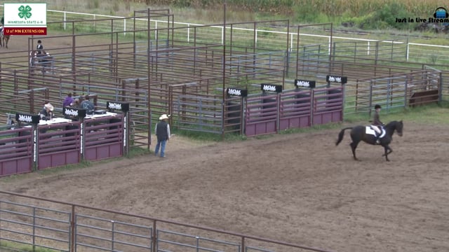 Hunt Pleasure Pony and Pls Type 2