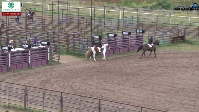 Hunt Pleasure Pony and Pls Type 3
