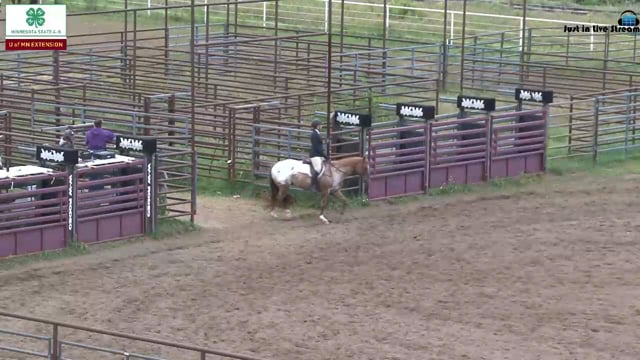 Hunt Pleasure Pony and Pls Type 4
