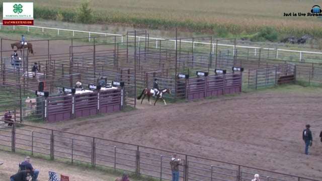 Hunt Pleasure Pony and Pls Type