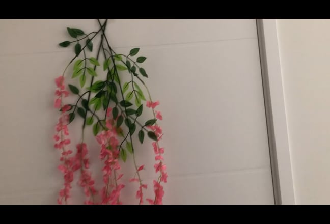 Spacious Double Room available for Rent Main Photo