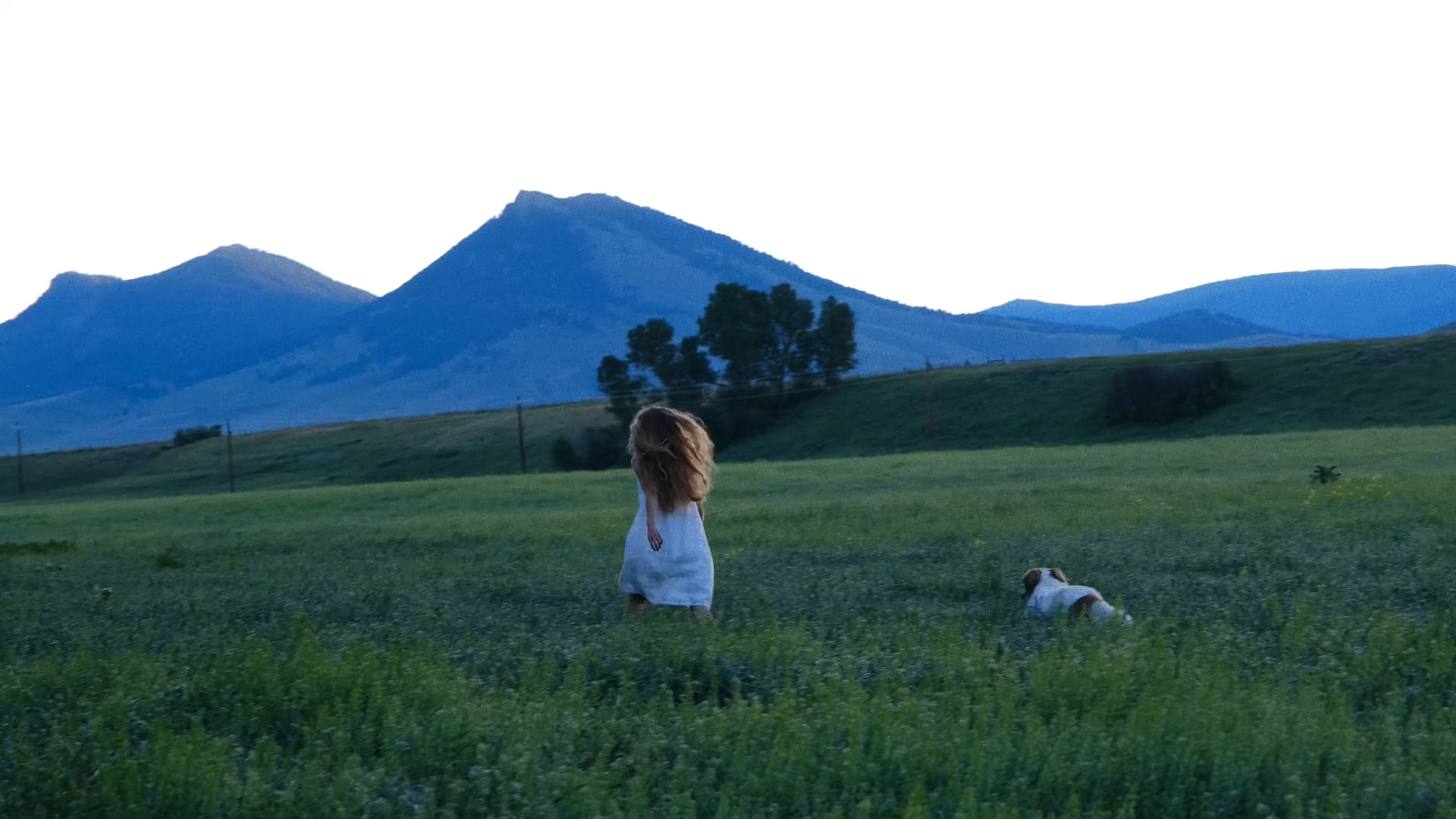 If Lost Please Return