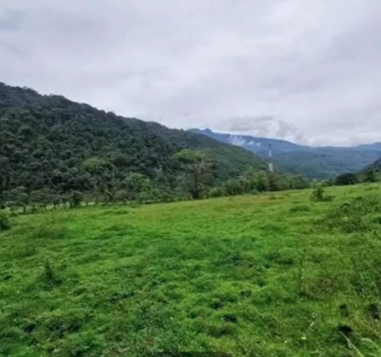 https://i.vimeocdn.com/video/2061036283-b5eea02f53ed84f34e331eb7a329b39fdd414da85d28b142d1e848dbe71d05a1-d