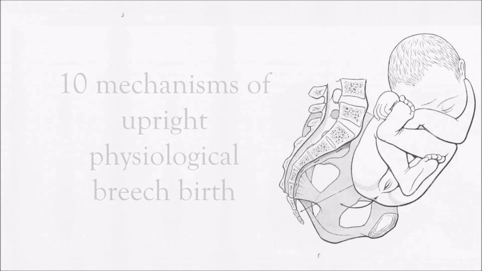 10 mechanisms of upright physiological breech birth