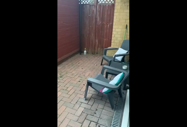 Video 1: