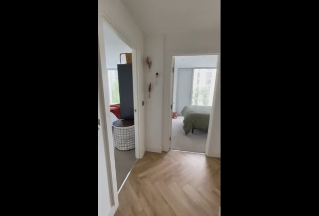 Video 1: