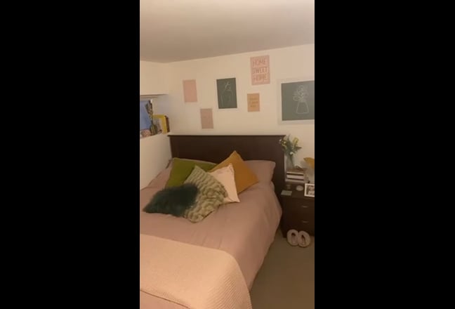Video 1: