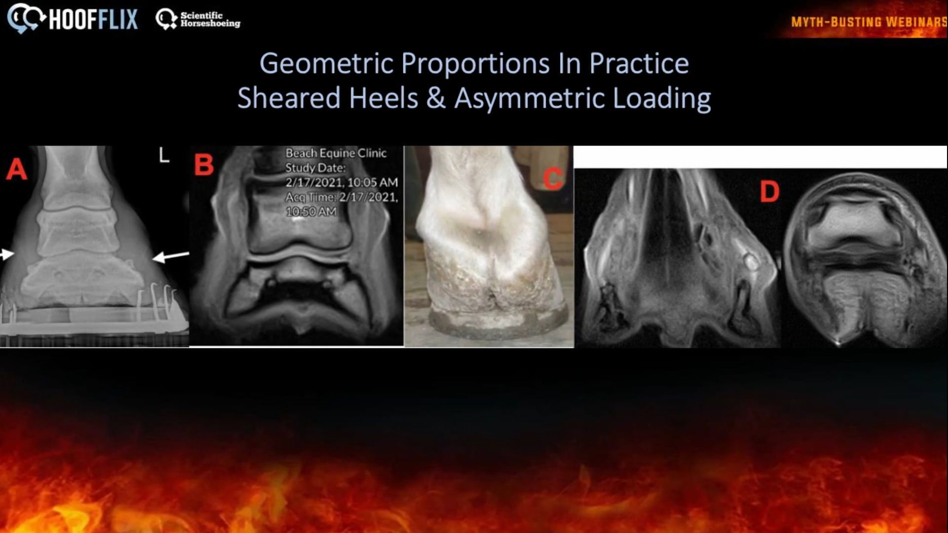 sheared heels case review.
