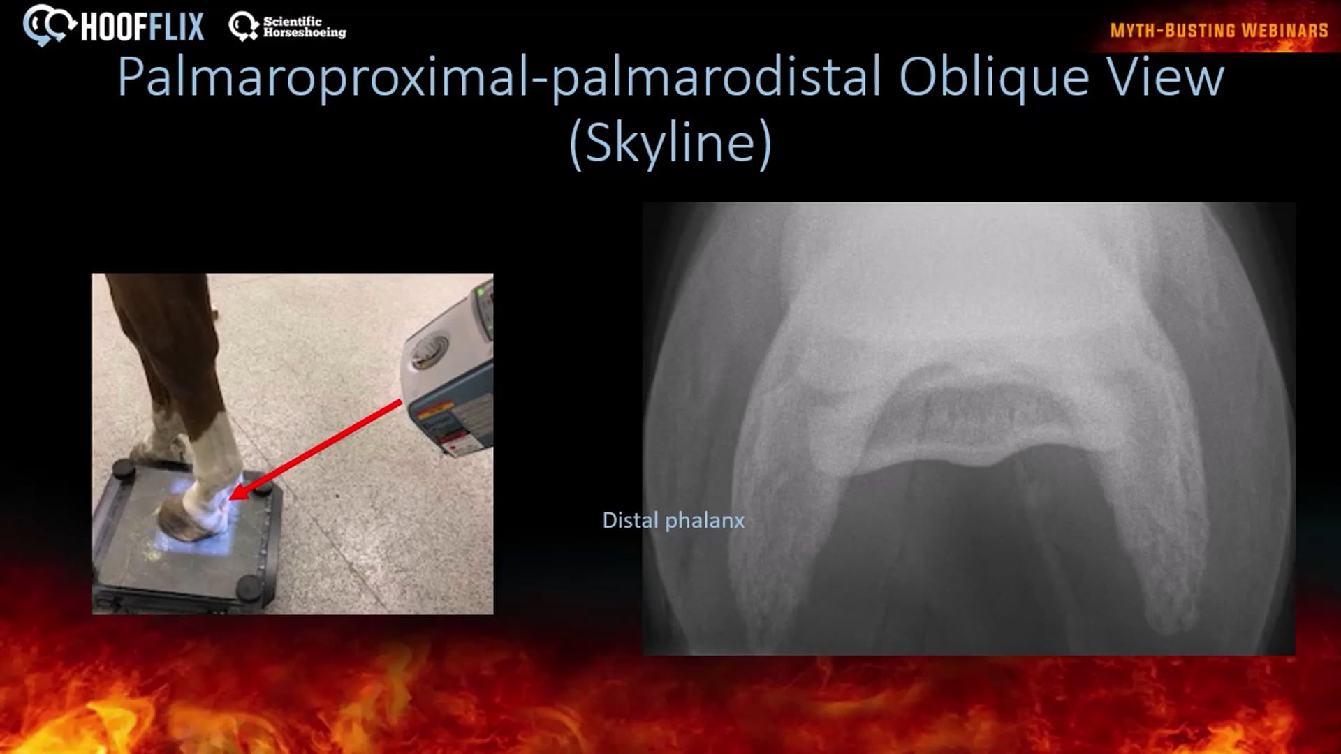 radiographic positioning and interpretation part 1