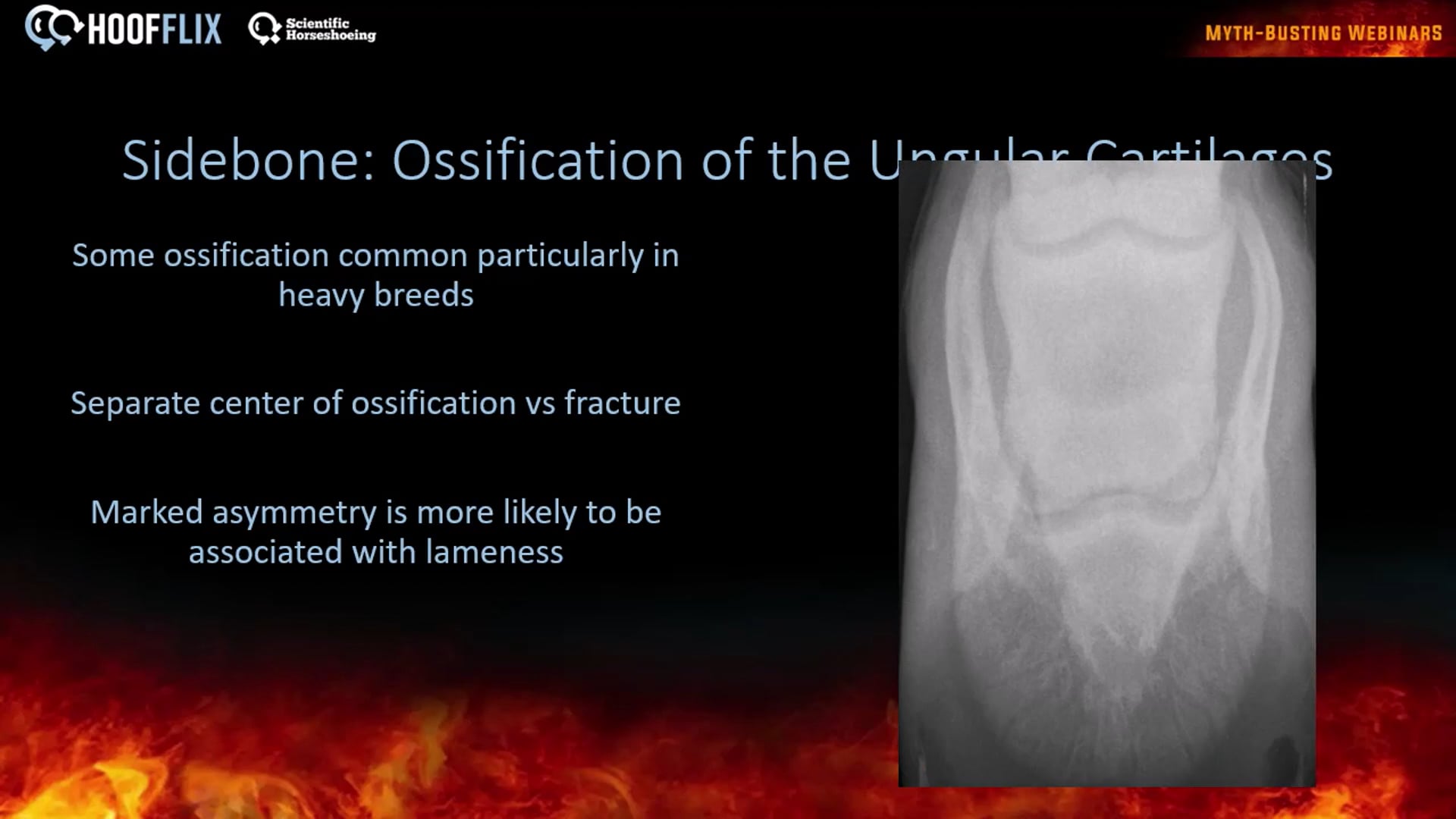 radiographic positioning and interpretation part 2