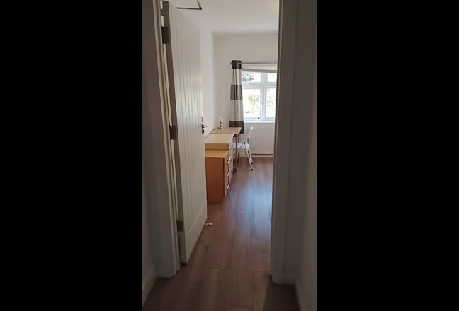 Video 1: