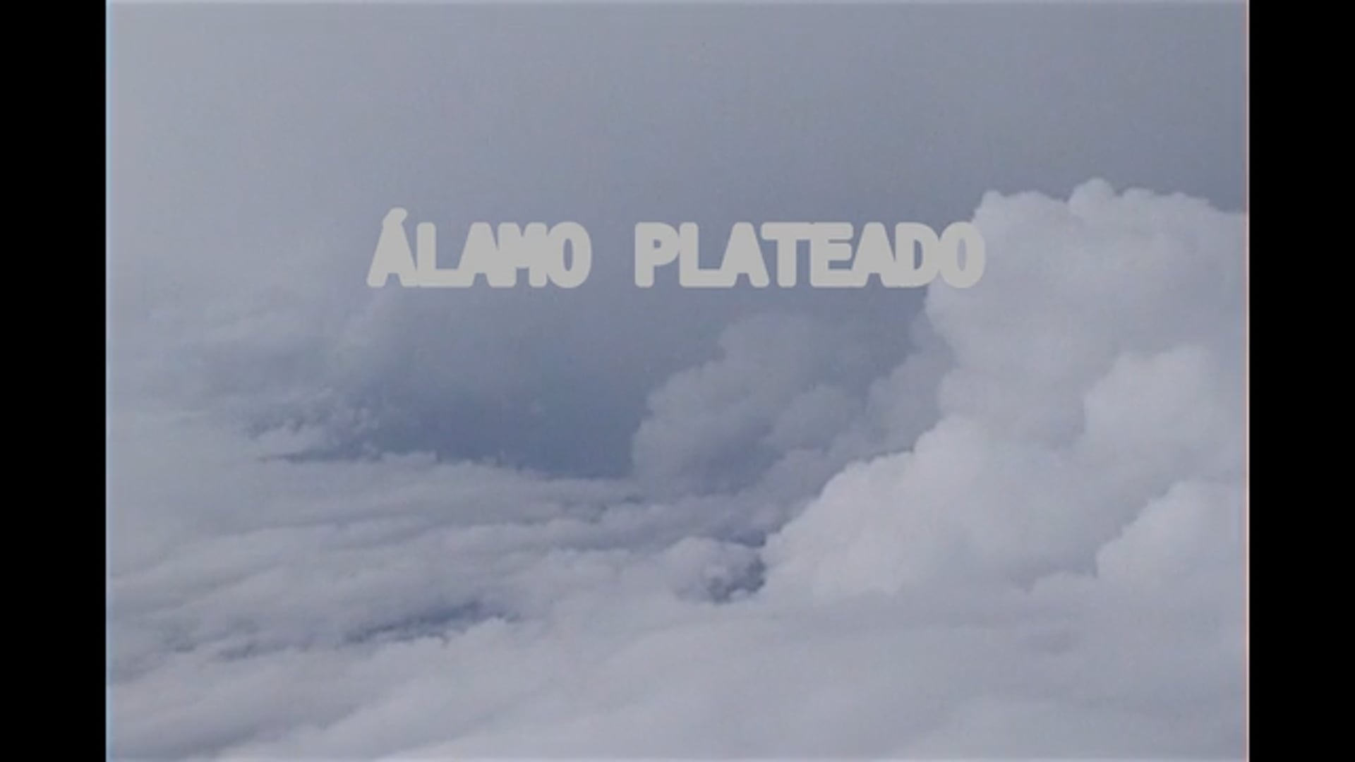 ÁLAMO PLATEADO