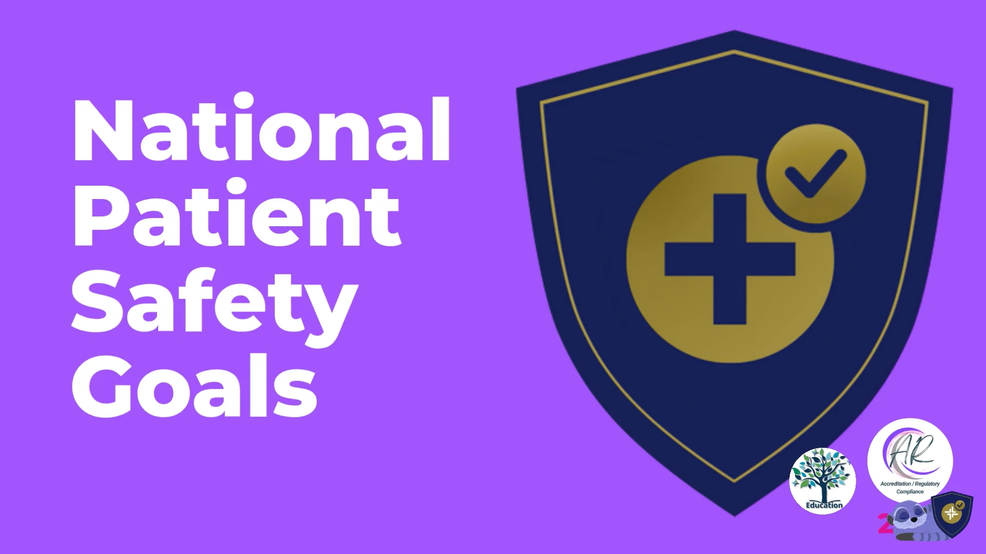National Patient Safety Goals 2025 | TikTok, image size:1920x1080