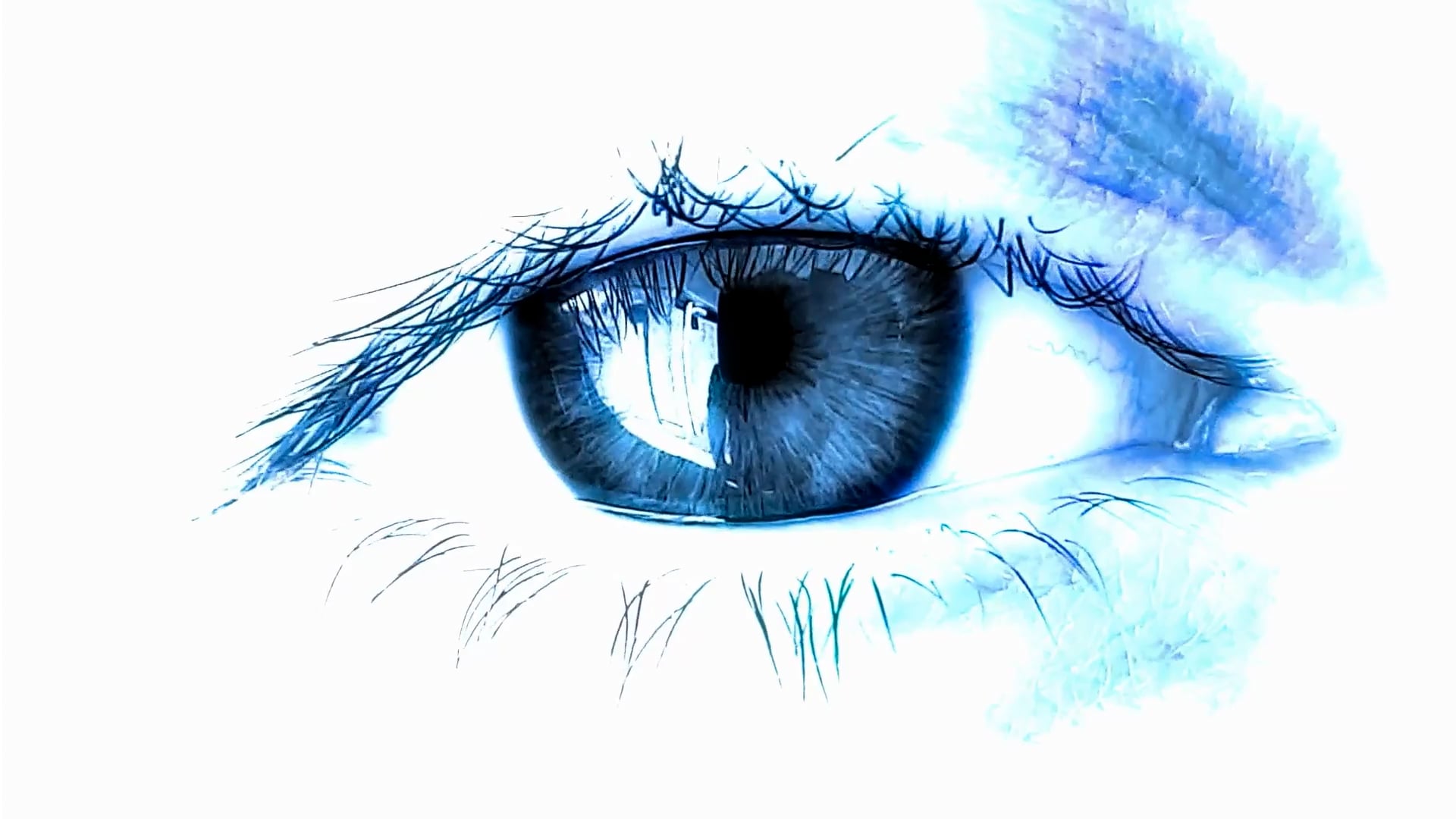 https://i.vimeocdn.com/video/2061504355-6d473bed67200cfff31a610080c9fd8959cbdb7c91cb307b110c858fac275da0-d