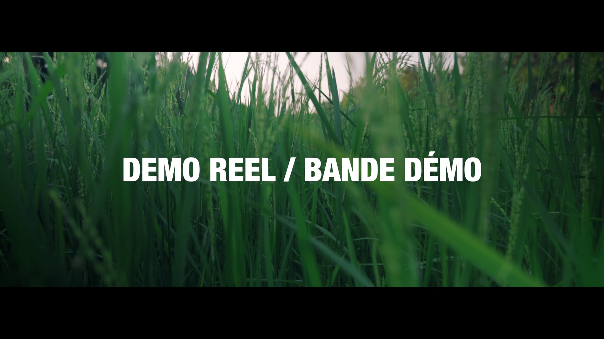 Demo Reel