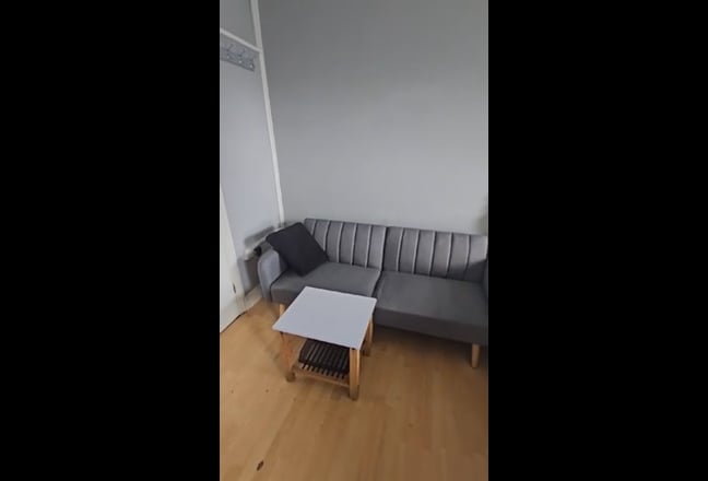 Video 1: