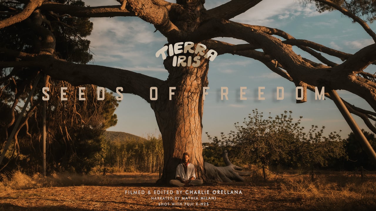 Seeds of Freedom | Mini Documentary | Ibiza — Raised by Volcanoes
