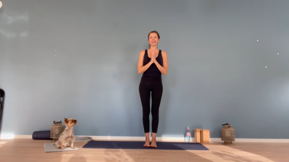 15 min morgenpraksis - Balansekunst for kropp og sinn