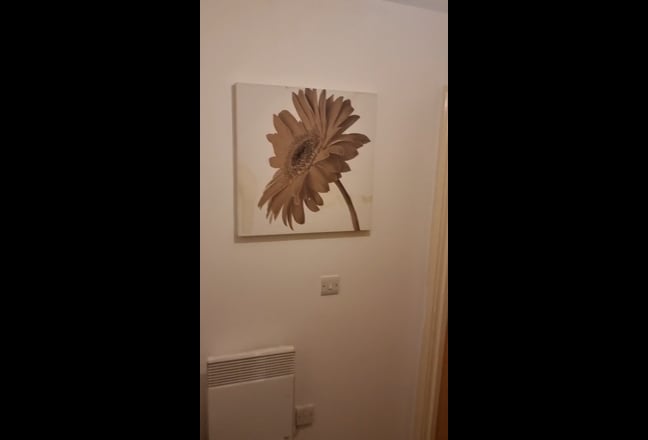 Fancy double room available in a 2bed flat  Main Photo