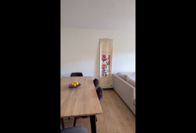 Video 1:
