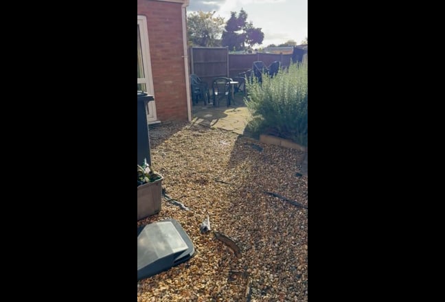 Video 1: Front Driveway