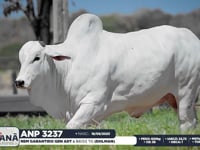 Lote 03