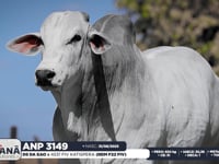 Lote 24