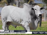 Lote 30