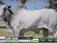 Lote 59