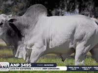 Lote 76