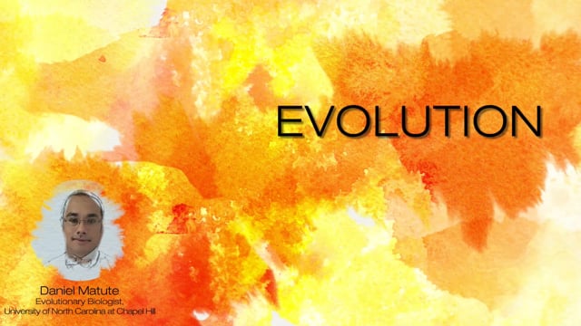 PBS Learning Media - "NOVA - Evolution 101" (Episode 1)